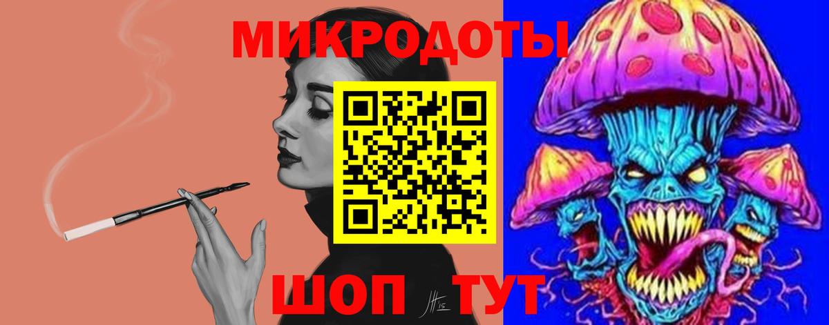Псилоцибиновые грибы Psilocybe Моршанск
